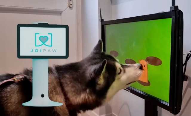 Joipaw: the first console with lots of video games for dogs!