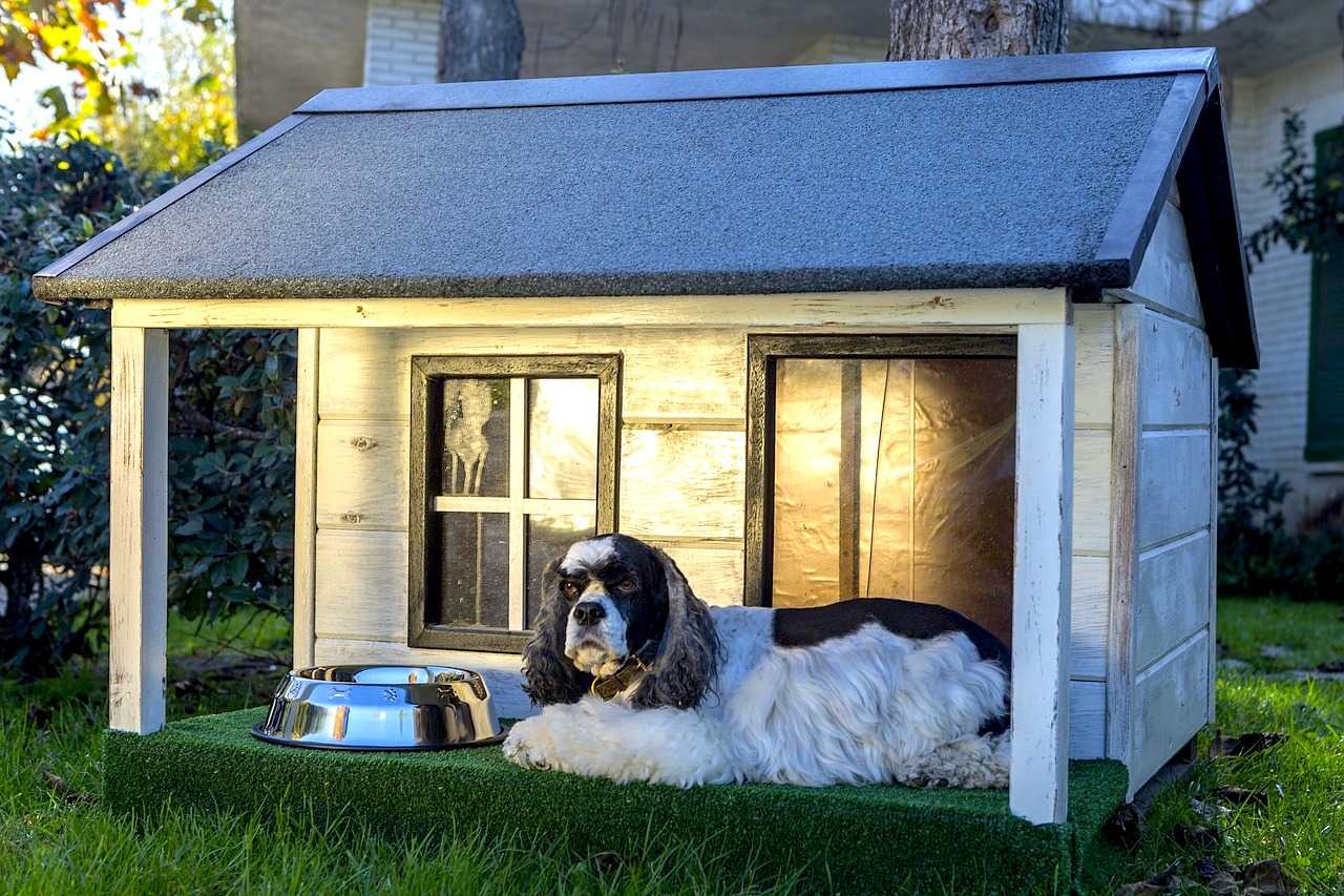 Dog houses: how to choose the best ones?