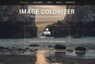 Image Colorizer Review: Colorize photos in black and white