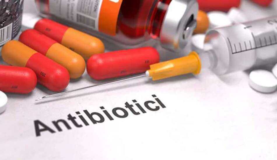 Antibiotics: “shape-shifting” bacteria for resistance 