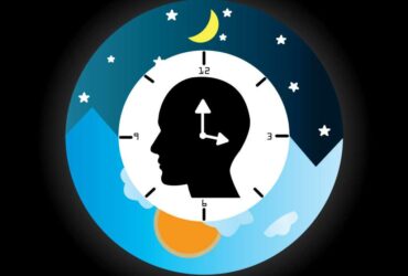 Circadian cycle: Bacteria also have one