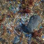 Microplastic: found right on the top of Everest
