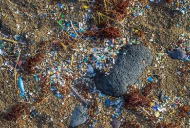 Microplastic: found right on the top of Everest