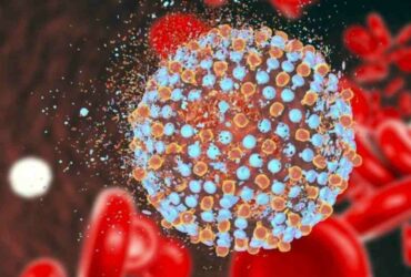 Hepatitis C: a promising discovery to cure it