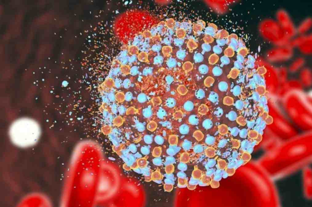 Hepatitis C: a promising discovery to cure it 