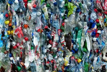 Plastic: a cocktail of enzymes to digest it