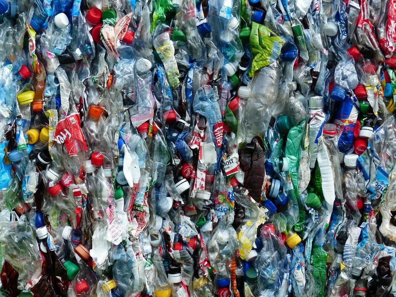 Plastic: a cocktail of enzymes to digest it