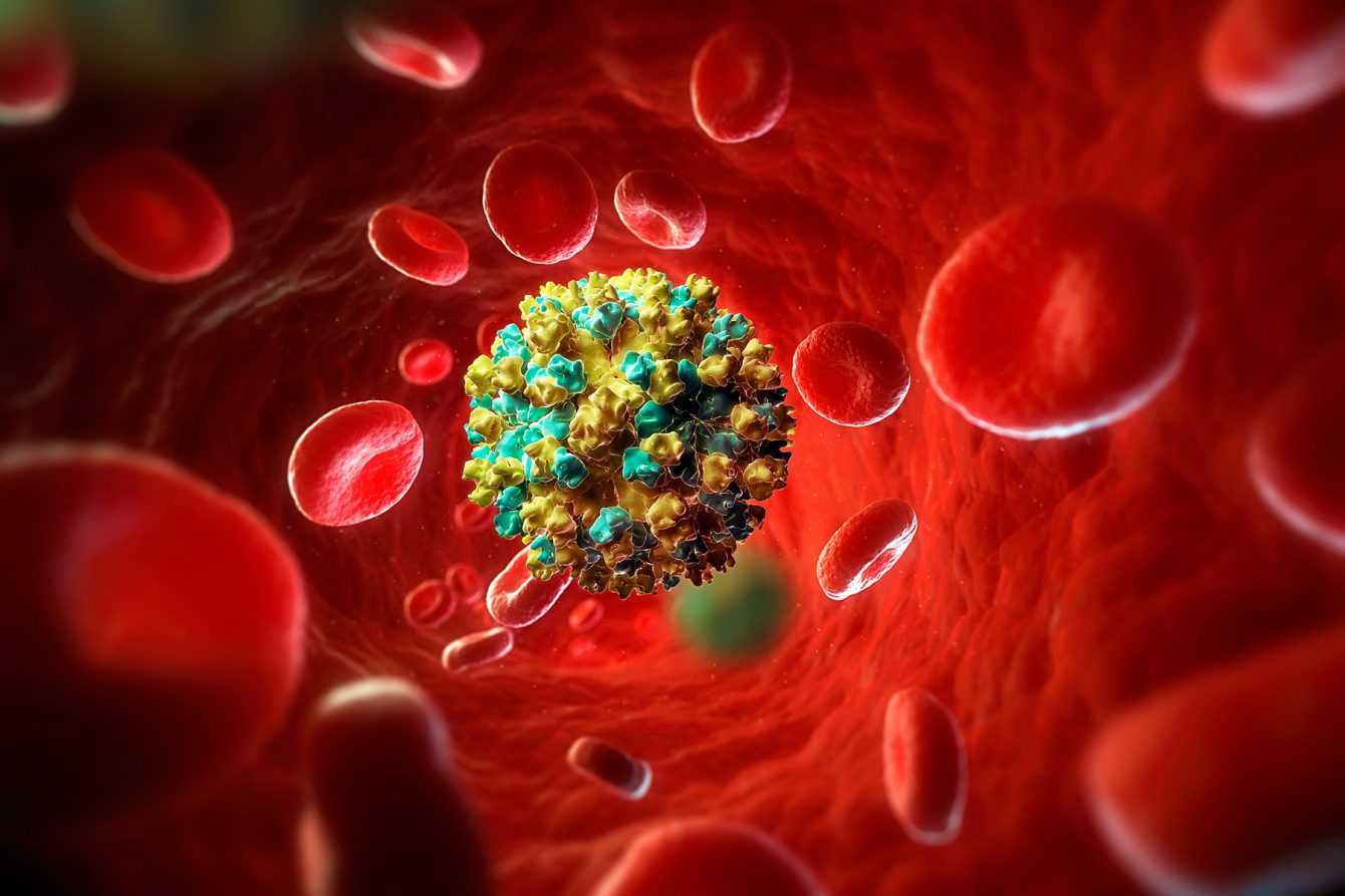 Nobel Prize Medicine 2020: the discoverers of hepatitis C triumph