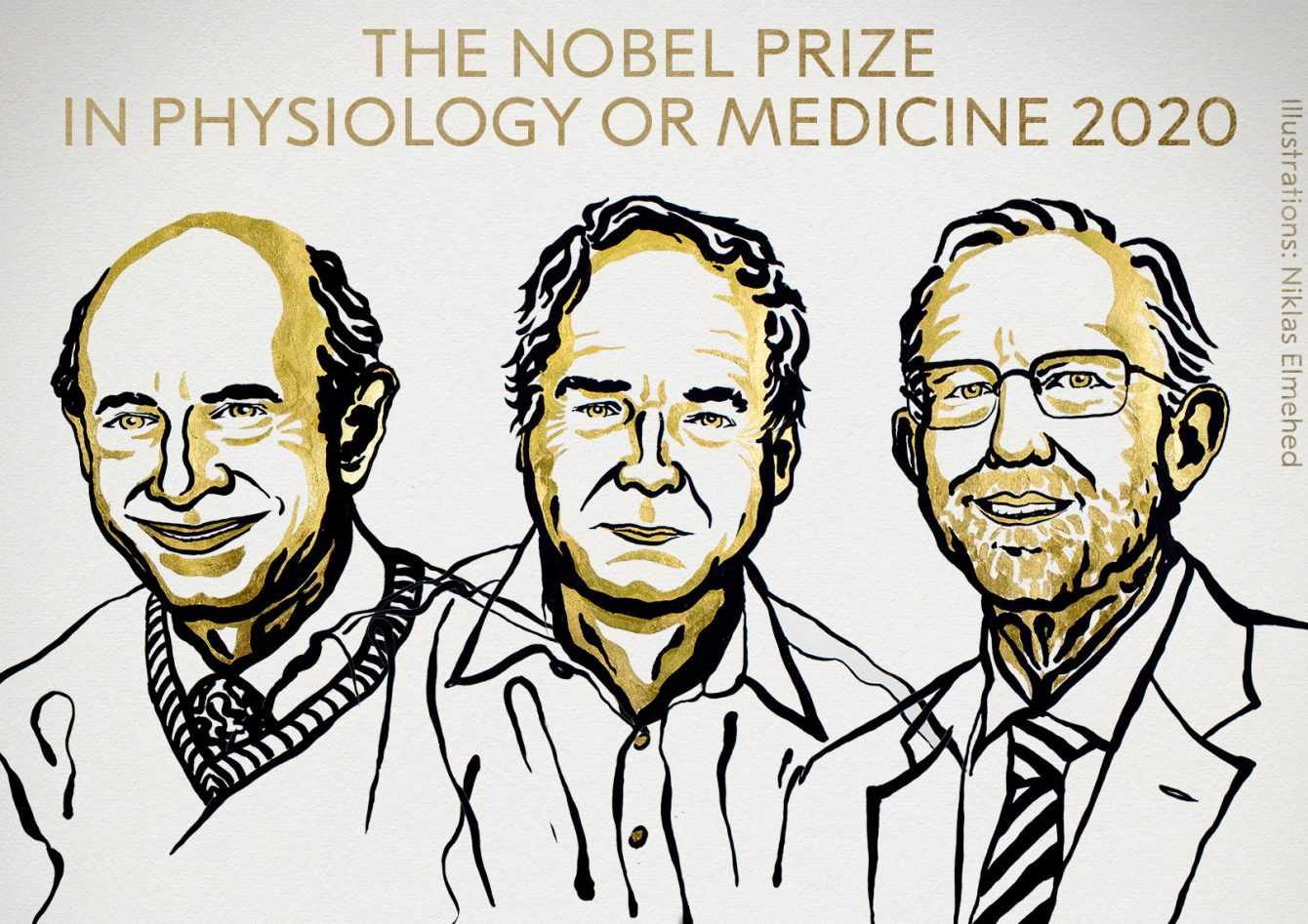 Nobel Prize Medicine 2020: the discoverers of hepatitis C triumph