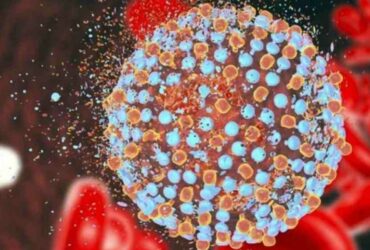 Nobel Prize Medicine 2020: the discoverers of hepatitis C triumph