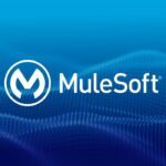 Choose Mulesoft BSE for software integration projects