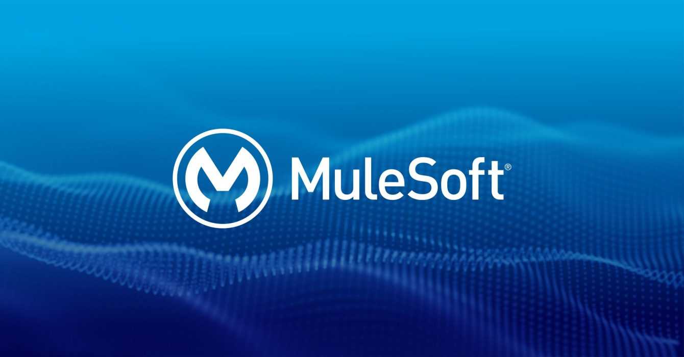 Choose Mulesoft BSE for software integration projects 