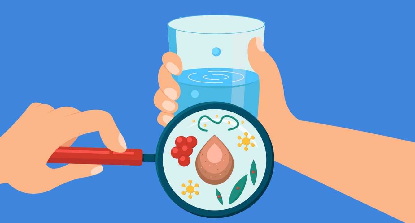 Circadian cycle: Bacteria also have one