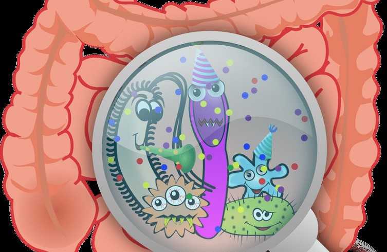 Microbiome: important for healthier aging