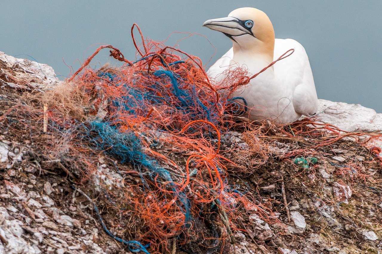 Plastic: a cocktail of enzymes to digest it