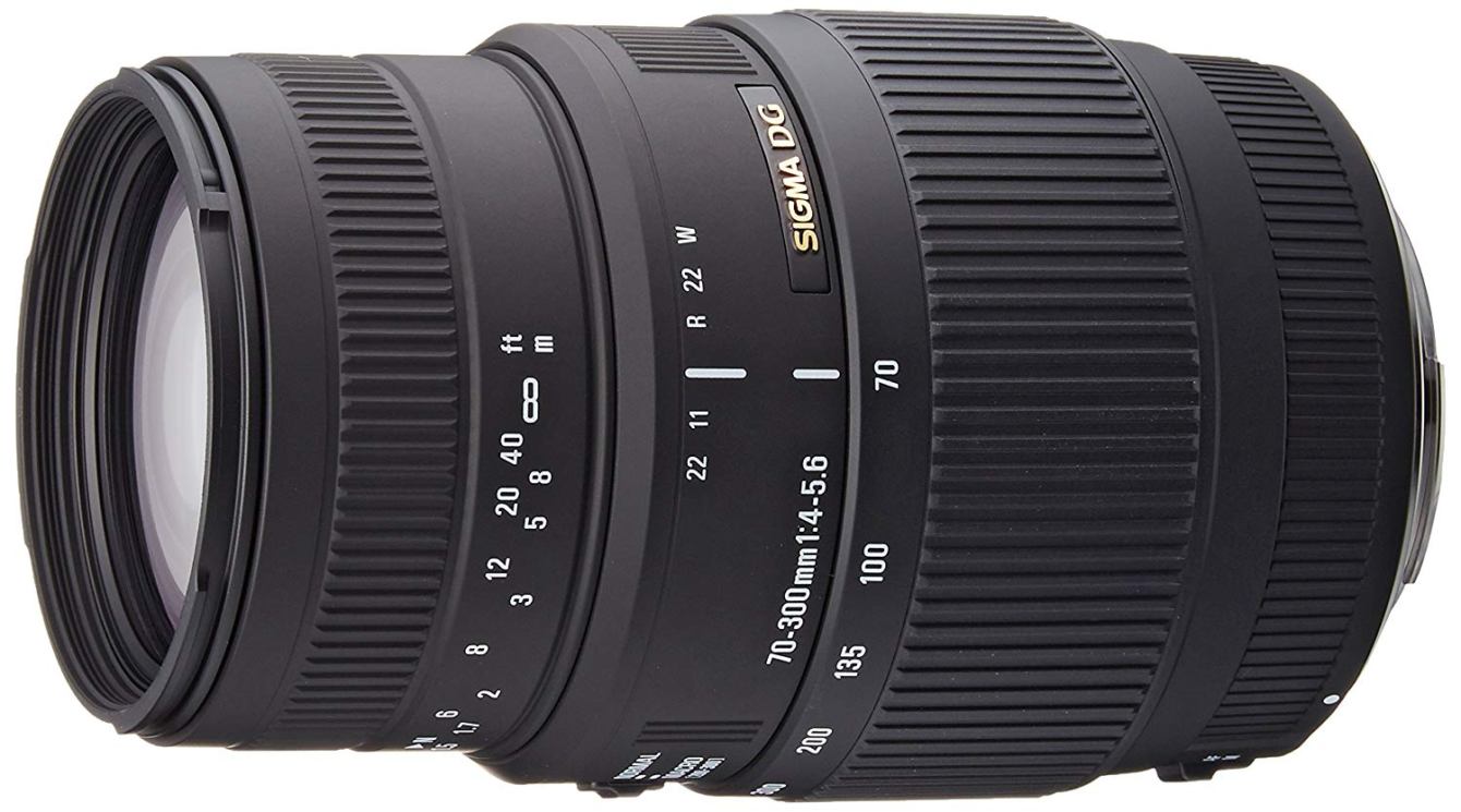 Sigma AF 70-300mm DG lens for Canon: buy or not?