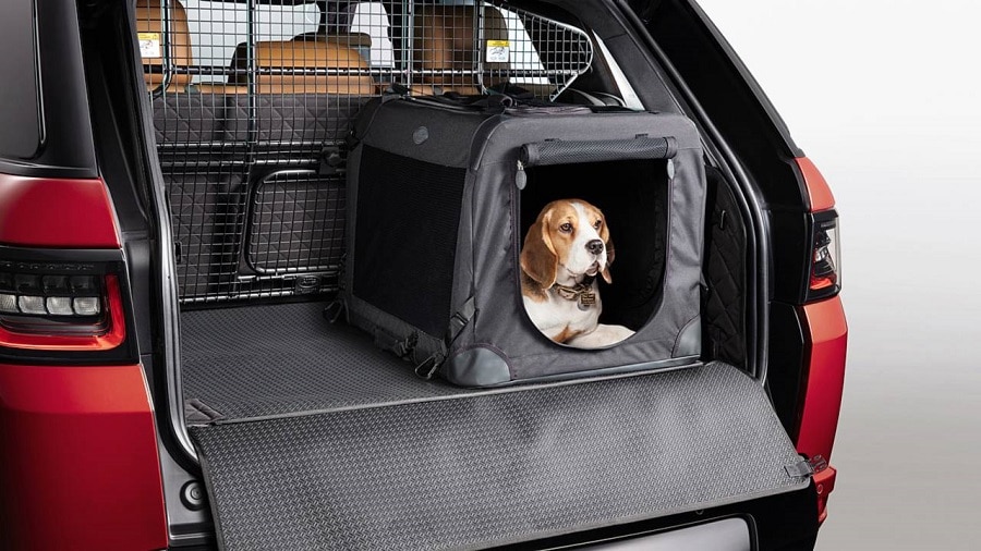 dogs in kennel car