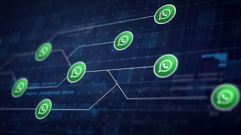 whatsapp backup scripts end-to-end-min