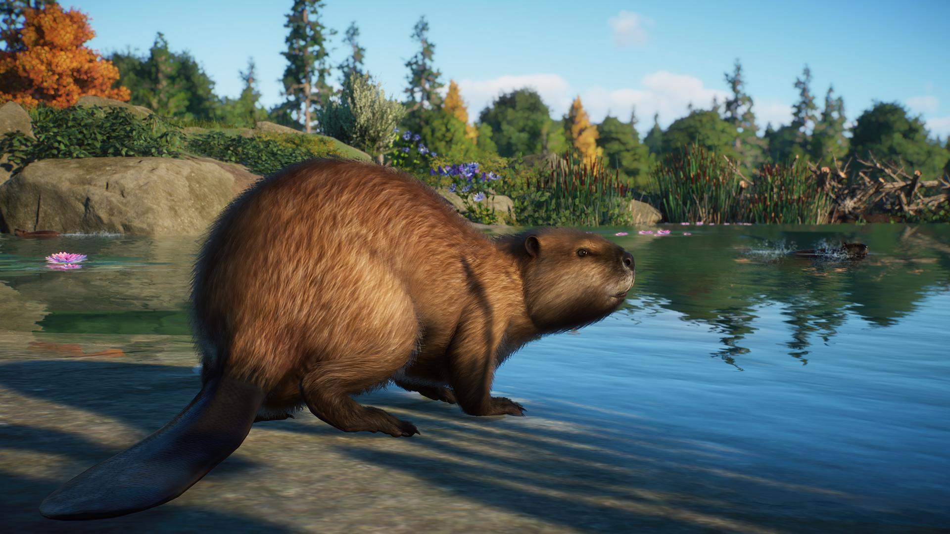planet zoo review