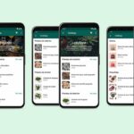 WhatsApp lancia Collezioni, funzione pensata per lo shopping thumbnail
