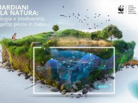 Huawei e WWF Italia presentano i Guardiani delle Natura: le vedette tech per le oasi naturali thumbnail