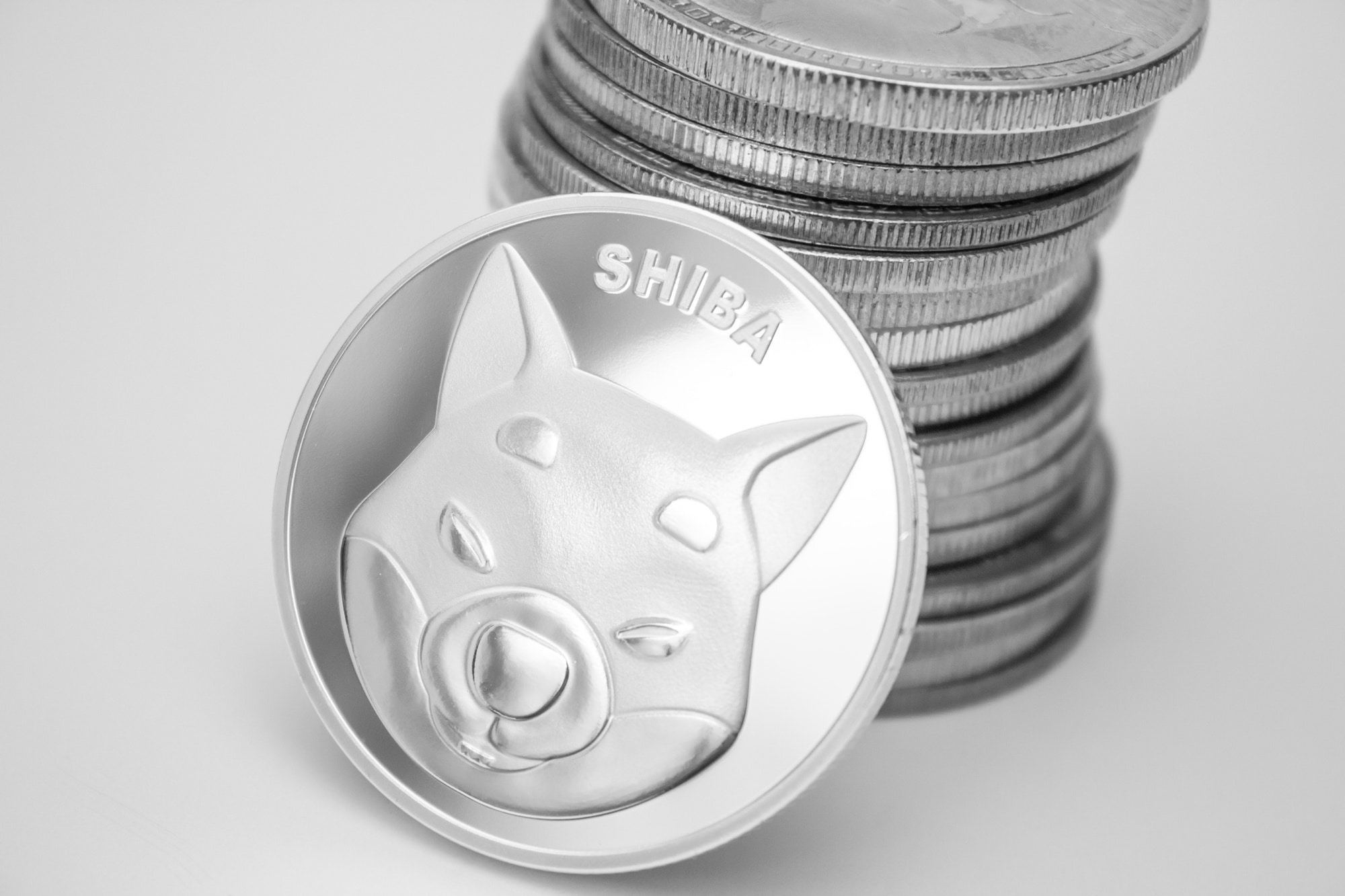 Shiba Inu Coin: it is the most sought after cryptocurrency of 2022, beaten the Bitcoin thumbnail