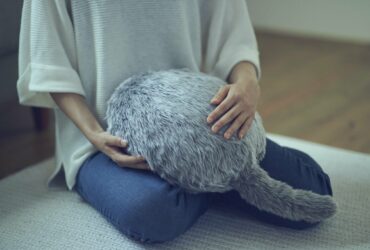 Qoobo e Bocco emo: le dolci mascotte tech del CES 2022 thumbnail