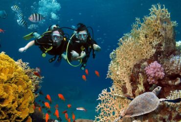 Ecco Scubadvisor, l'app dedicata al mondo delle immersioni thumbnail