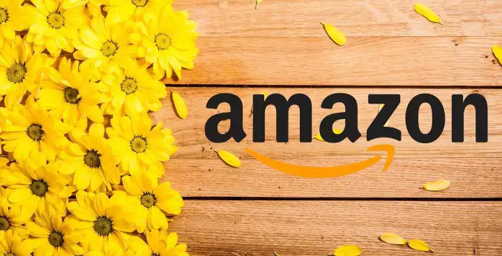 Amazon: the month of April brings great discounts with the Spring Offers