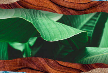 Giornata della Terra: scopriamo le iniziative di Meta thumbnail