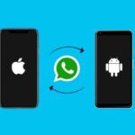 Come passare chat Whatsapp da Android ad iPhone
