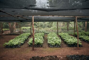 L’ E-Park di ProGaming Italia mira ad unire eSport ed ecosostenibilità thumbnail