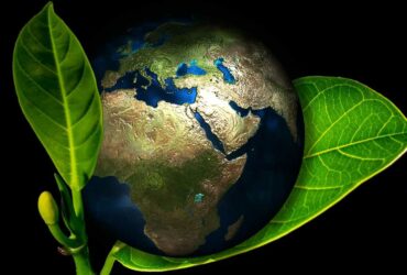 HONOR ha svelato i risultati raggiunti per la salvaguardia del pianeta thumbnail