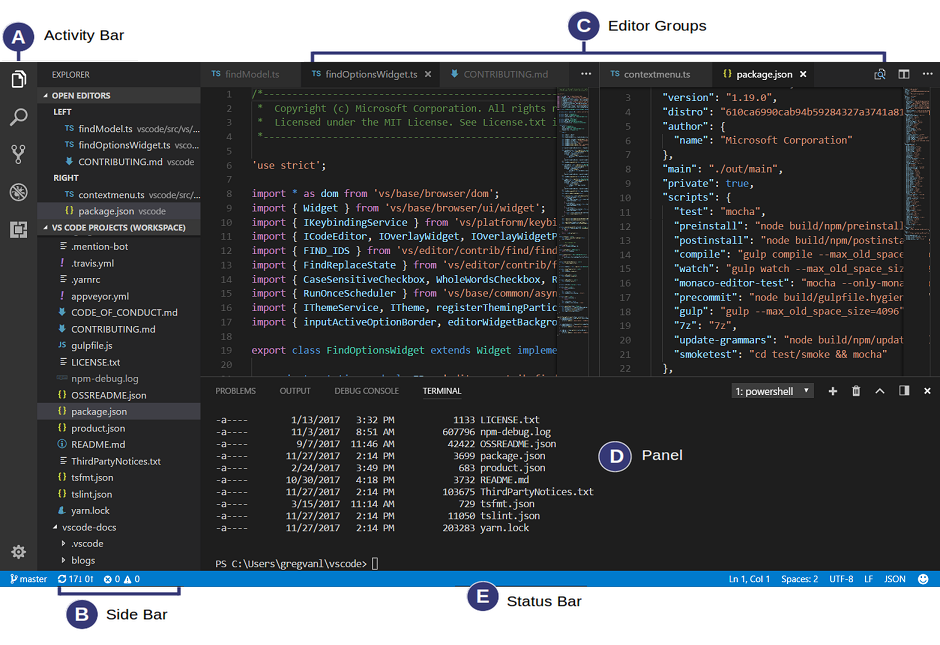 Microsoft's new Visual Studio Code Server