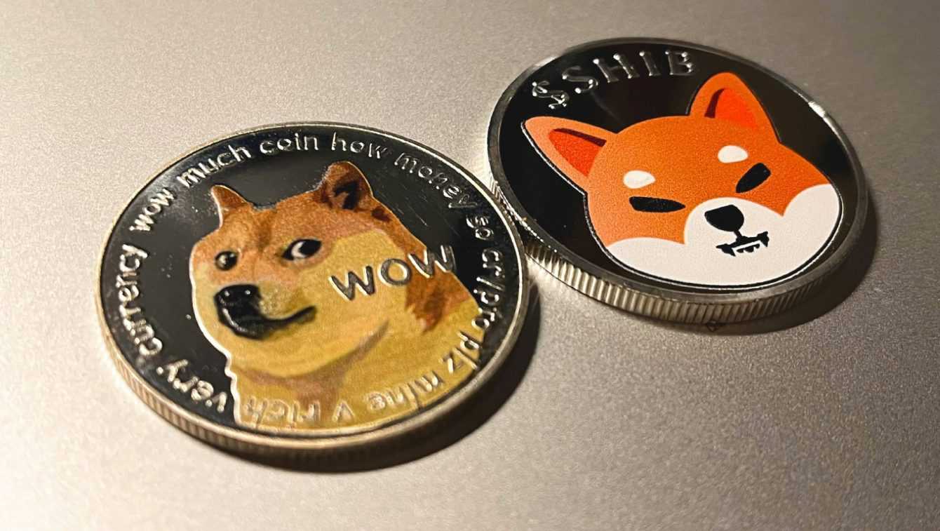 How does Shiba Inu Crypto and the token attached to it work in detail?