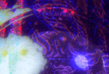 Triennale Milano presenta il secondo gioco della Game Collection Volume 2 thumbnail