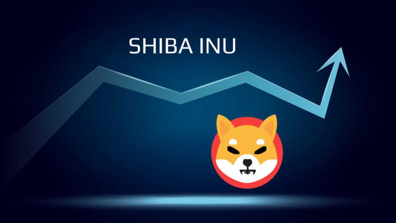 How does Shiba Inu Crypto and the token attached to it work in detail?