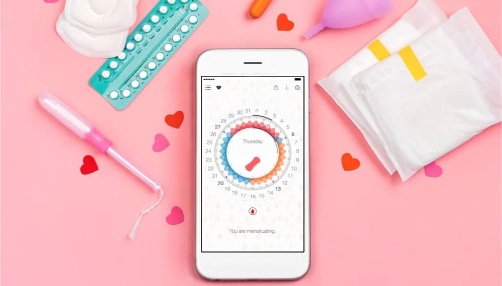 menstrual cycle privacy app tech princess