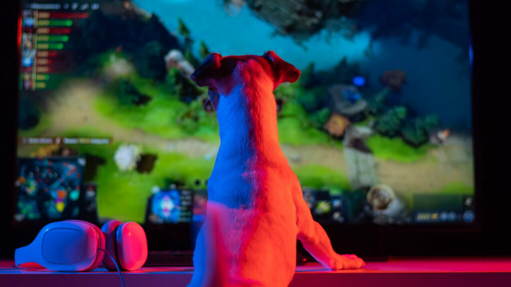 A British startup is developing the first video games for dogs