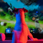 Una startup inglese sta sviluppando i primi videogiochi per cani thumbnail