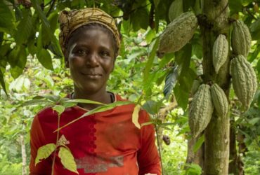 Gruppo Renault annuncia una collaborazione con Treedom: nasce Renaulution Up! thumbnail