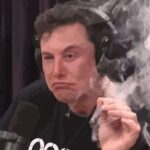 ElonJet è di nuovo su Twitter con un nuovo account, come reagirà Elon Musk? thumbnail