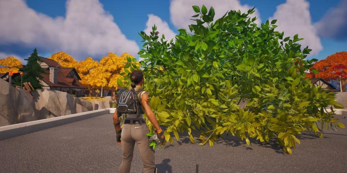 Hide in various bushes that you have thrown in Fortnite