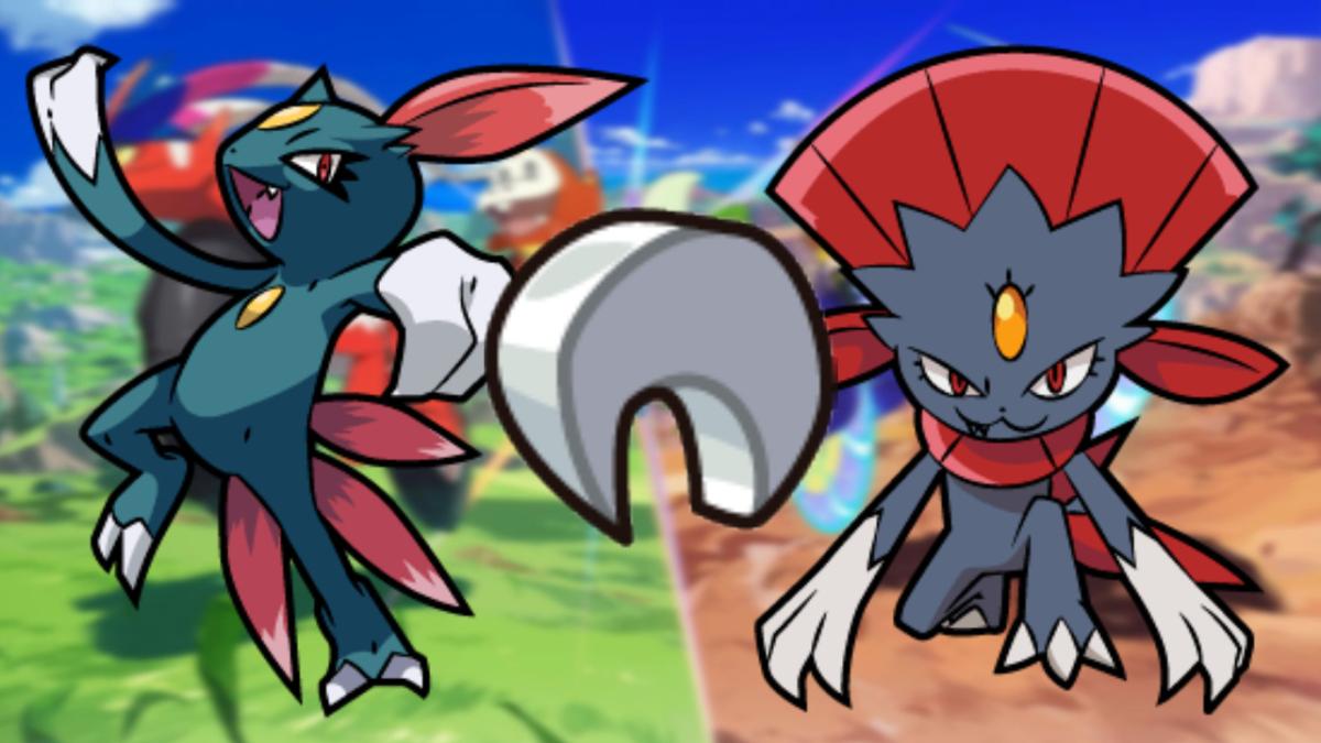 How to get Affiliate Claw in Pokémon Scarlet and Purple to evolve into Sneasel