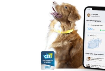 Invoxia: in arrivo il BioMetric Smart Dog con Heartprint Technology thumbnail