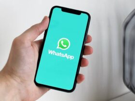 WhatsApp sta testando una funzionalità newsletter thumbnail