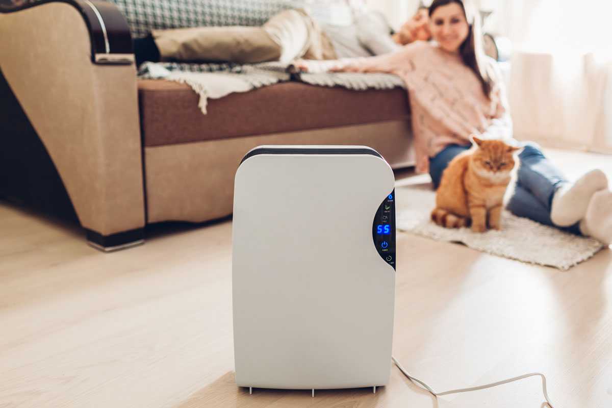 Eliminate excess humidity with dehumidifiers: your ally for a healthy environment