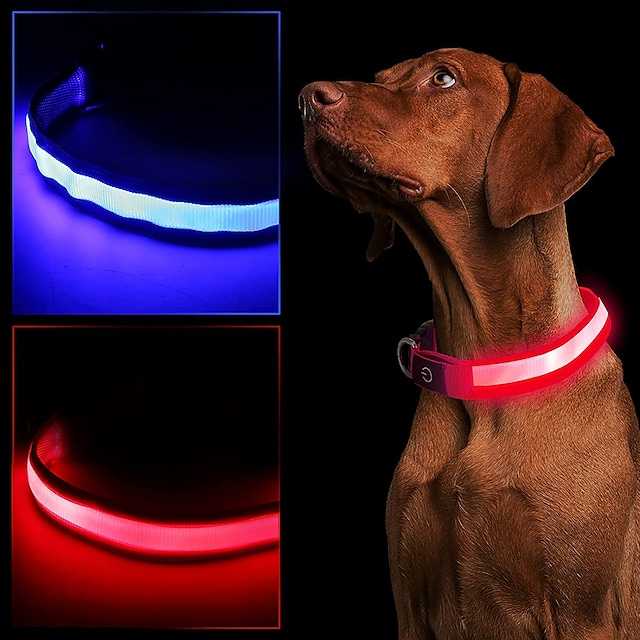 Five strange, curious and smart accessories for your dogs on offer!