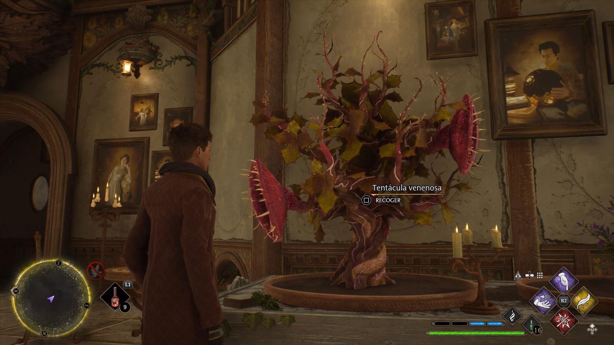 How to get Poisonous Tentacle in Hogwarts Legacy, necessary object in a task