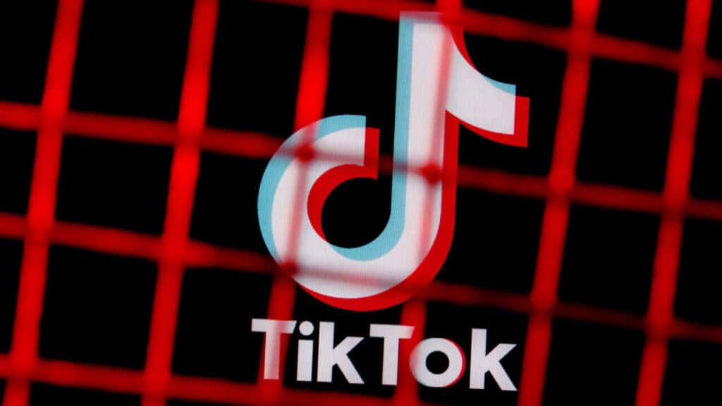 TikTok survey Italy e1673261812836